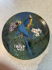 Bone China Plate 8"(20cm) "Blue and Yellow Macaws", Fragile Paradise, Wedgwood
