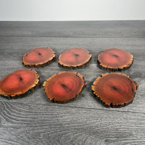 Vintage real wood tree slice - vintage,