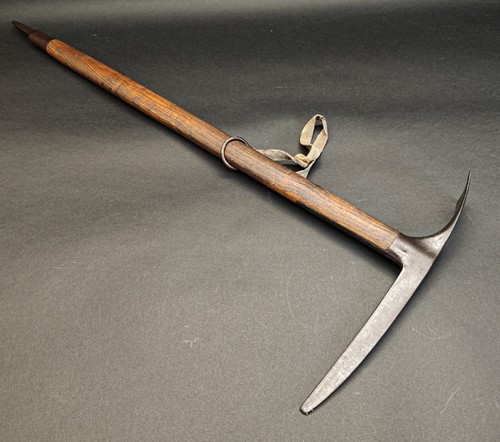 Rare unusual walking stick - unusual,