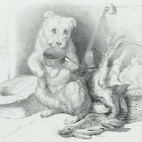 The beggar dog edwin - the,