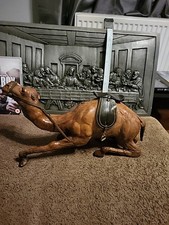 Beautiful Dromedary Camel with