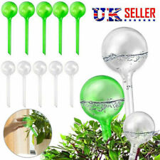 Plant Self Watering Bulb Clear