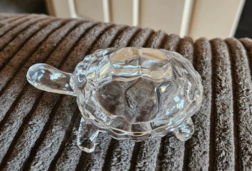 Glass turtle brand new - brand, box