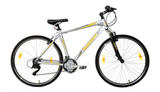Road Runner Pro V 700c Wheel