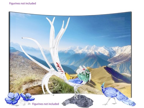 Swarovski scs bird wildlife - scs,