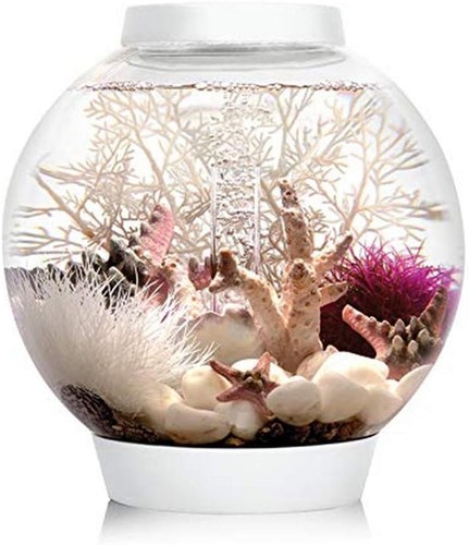 Biorb classic aquarium with - biorb,