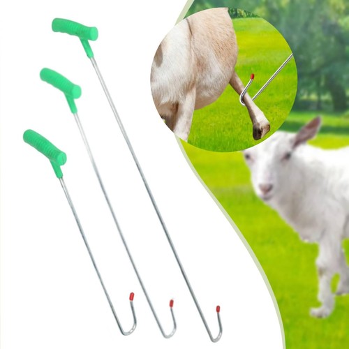 Sheep catcher iron - sheep, livestock