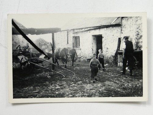 Farmyard scene children - scene,