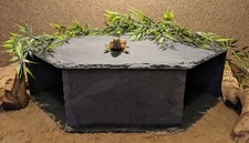 Largest on eBay XXXXL Slate Cave Hide Pleco Tortoise Bearded Dragon Turtle Snake