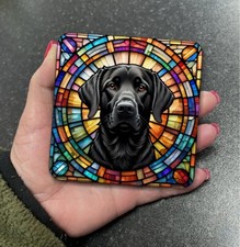 Stunning Black Labrador Dog