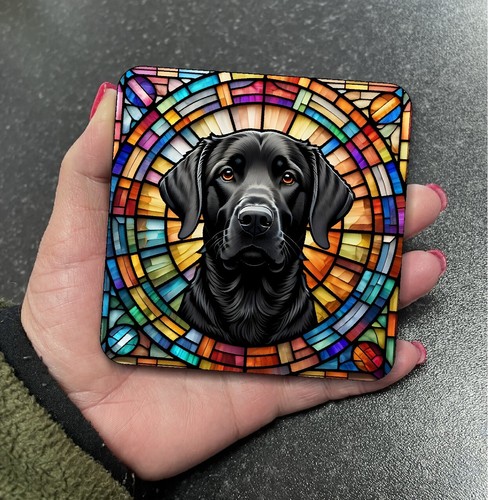 Stunning black labrador dog - black,