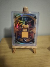 Panini Select Premier League