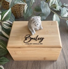 Personalised Wooden Urn | English Bulldog Urn | Pet Urn | Memorial Box | Dog Urn