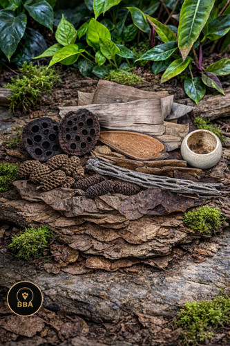 Botanicals pack terrarium - botanicals,