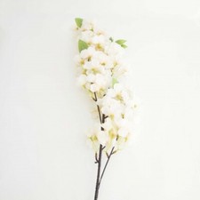 CHERRY BLOSSOM FLOWER