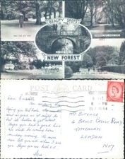 Beauty spots in New Forest