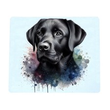 Black labrador retriever - retriever, dog