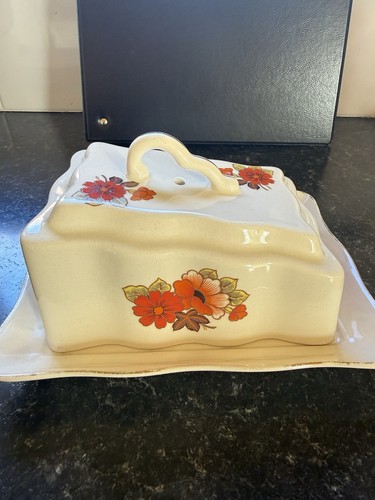 Romanian vintage cheese - romanian,