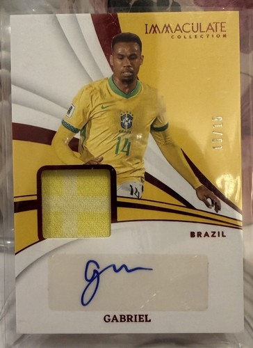 Panini immaculate gabriel - panini,