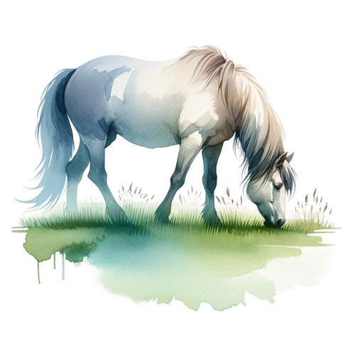 Wall decal sticker watercolour - wall,
