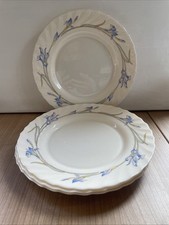 4 Arcopal France opaline