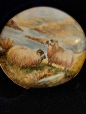 Hand Painted Highland Sheep