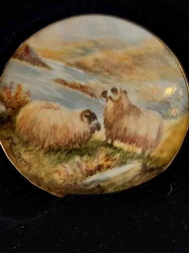 Hand painted highland sheep - painted,