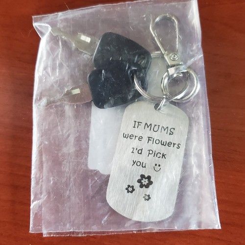 Key chain with two - key,
