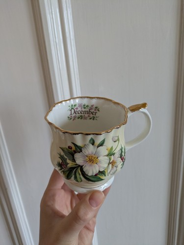 Elizabethan staffordshire - elizabethan,