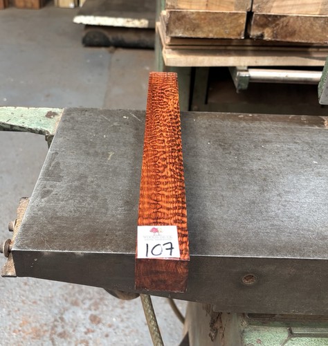 Snakewood cue square - cue, aaa