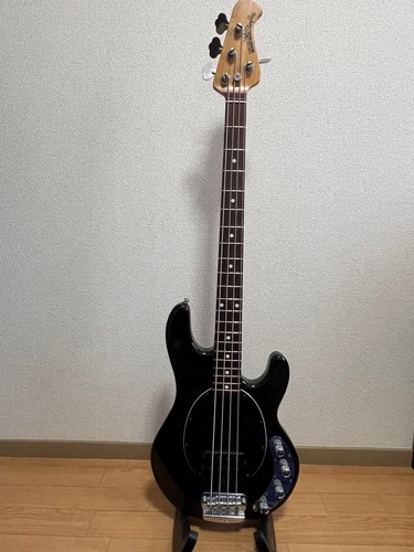Music man stingray rayex - man,