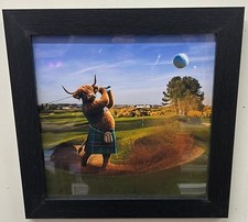 Highland Cow black frame