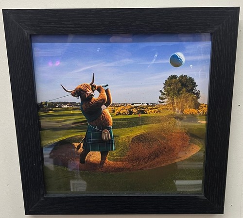 Highland cow black - cow, frame