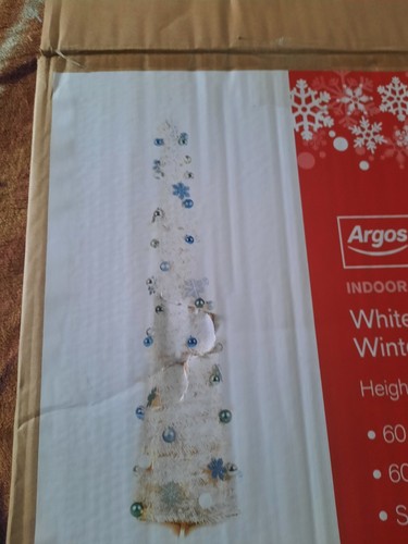 White pop tree winter - pop,