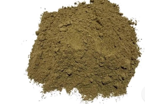 Hellebore root powder - powder, (
