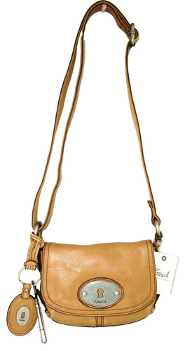 Fossil maddox camel - fossil,