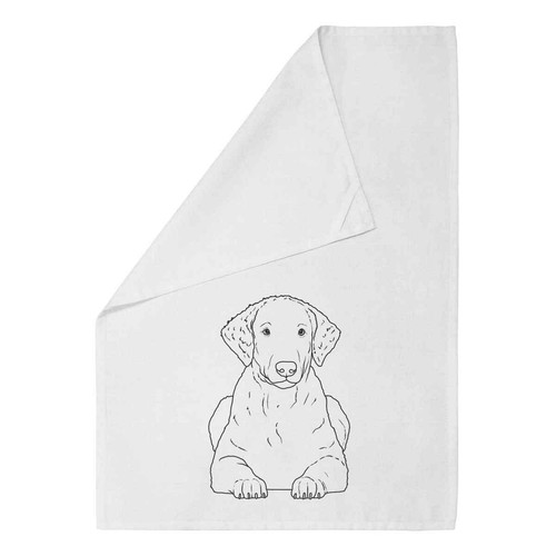 Curly coated retriever - coated, retriever'