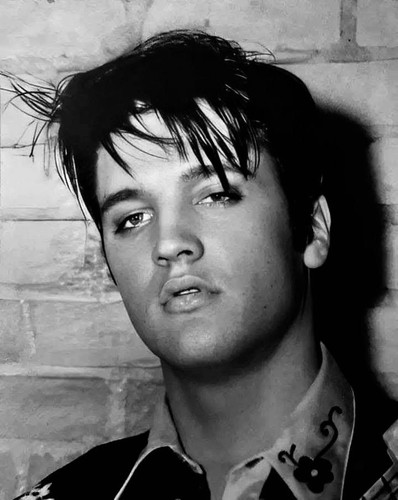 Iconic large photo - iconic, king