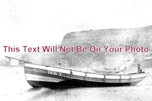 5448 whitby coble star of - 5448,