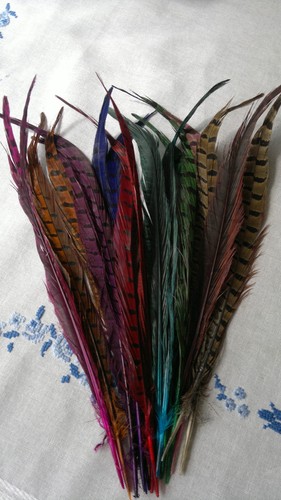 Pack pheasant tail - pack, of