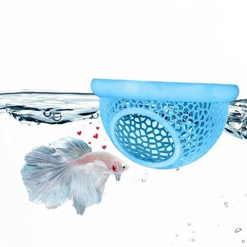 1pc floating betta - betta, fish