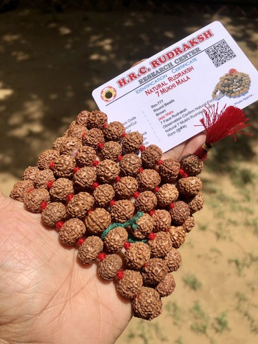 Lab certified mukhi - lab, 7