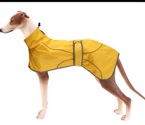 3xl lightweight yellow - 3xl,