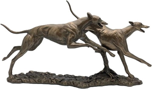 The winner pair greyhounds - winner,, of