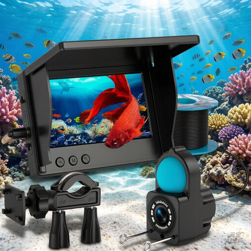 30m underwater fish - 30m, hd