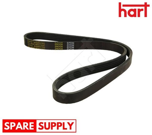 Ribbed belt for - belt, opel