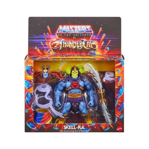 Motu masters the universe - the,