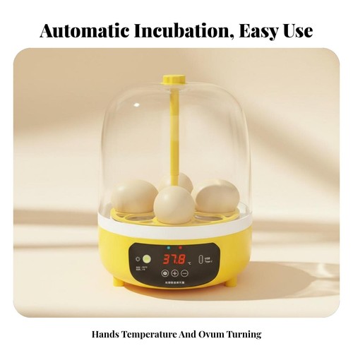 Eggs incubator device poultry - eggs,