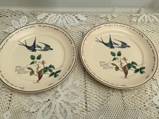 The Country Diary of An Edwardian Lady Plates 8" Salad Side Noritake Ireland x 2