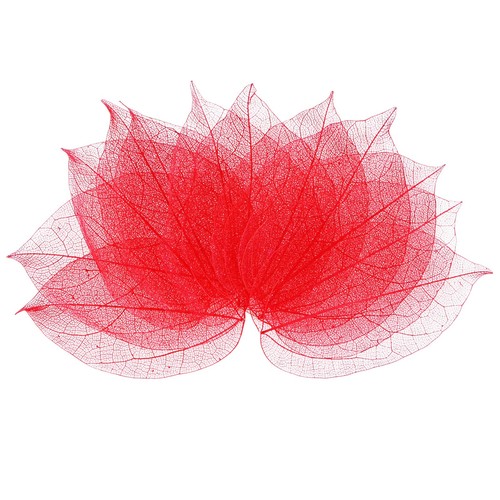 100 pack skeleton leaves - 100-pack,